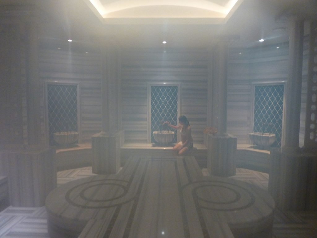 Hol hayajonlangan mushuk surati